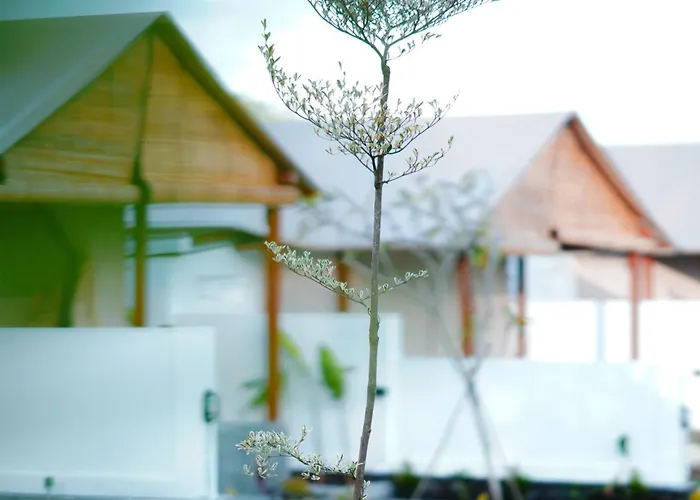The Breeze Glamping * Bangli